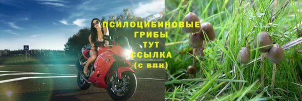 прущие крисы Алексин