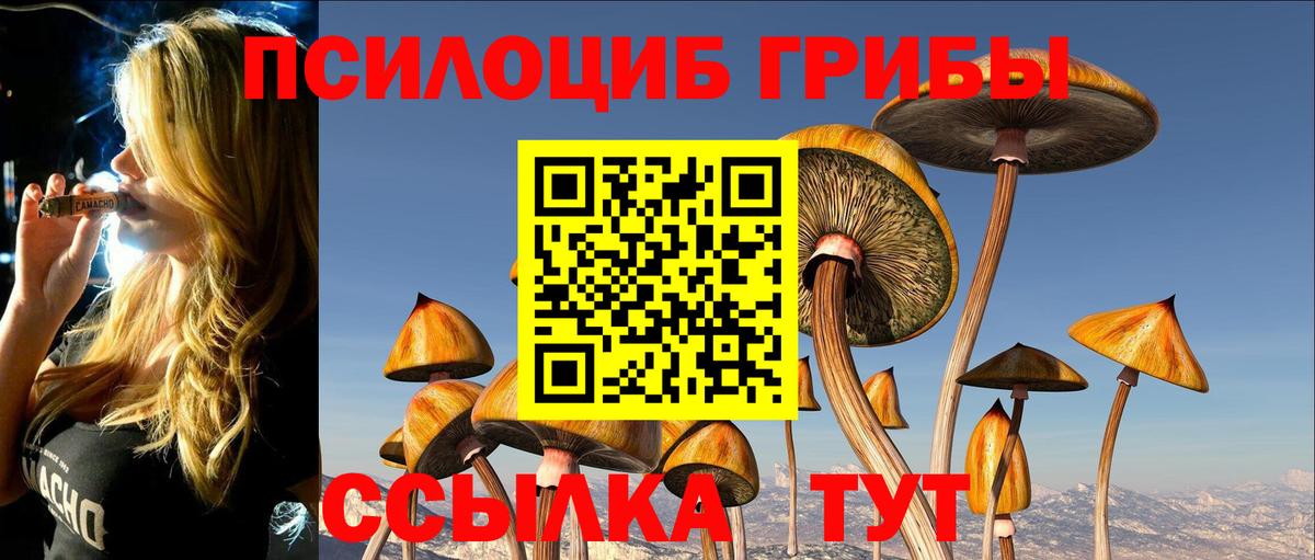 Псилоцибиновые грибы мухоморы Котовск