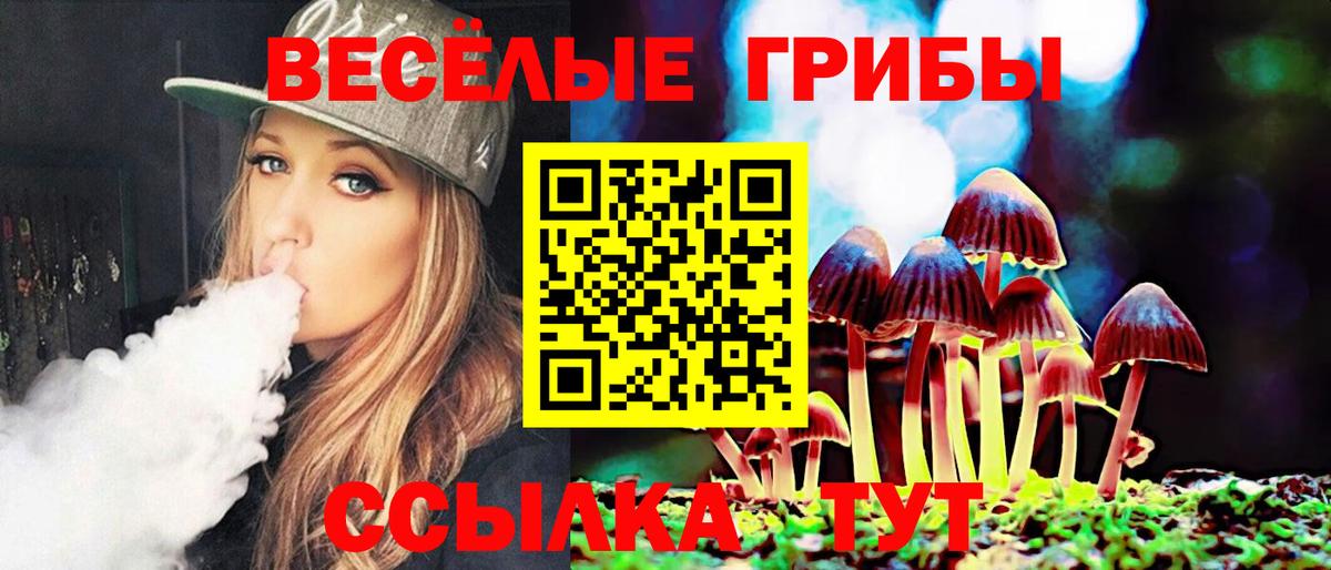 купить   Вход с VPN  Котовск  Галлюциногенные грибы мицелий 